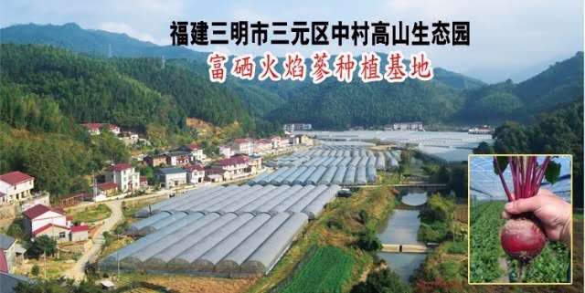 微信图片_20200709100743