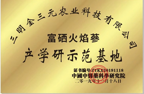 图片6